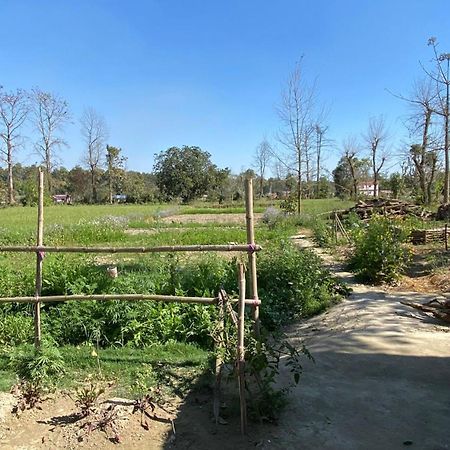Nanu'S Bardiya Homestay 外观 照片
