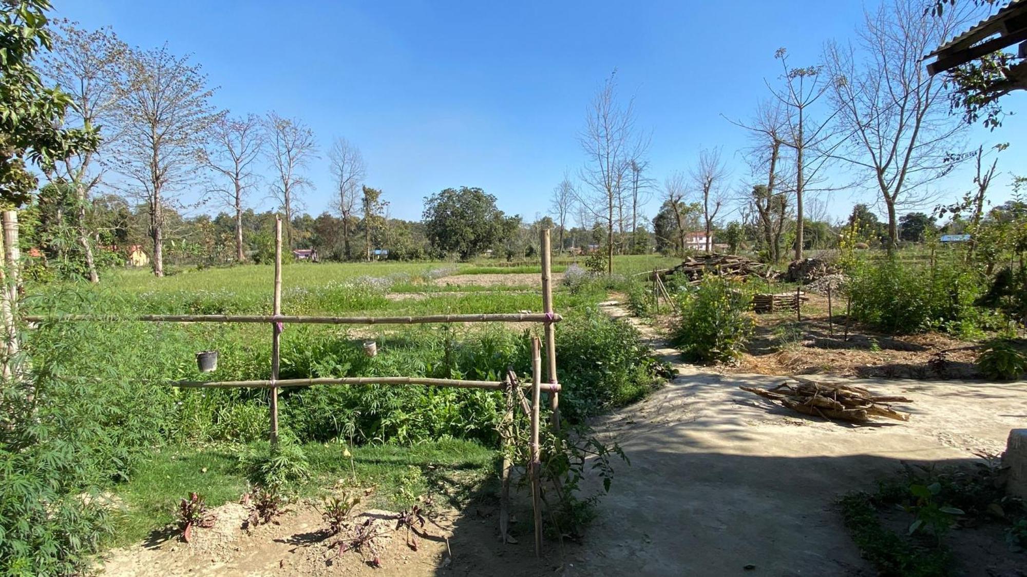 Nanu'S Bardiya Homestay 外观 照片